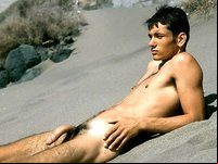 Twinks Gay Nude Pics studio pics cool boys