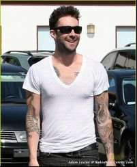 adam levine gay porn malestar adam levine