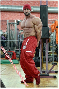 Italian muscle men alessandro muscle daddies