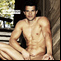 Taylor Lautner Gay Nude