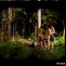 gay sex in woods